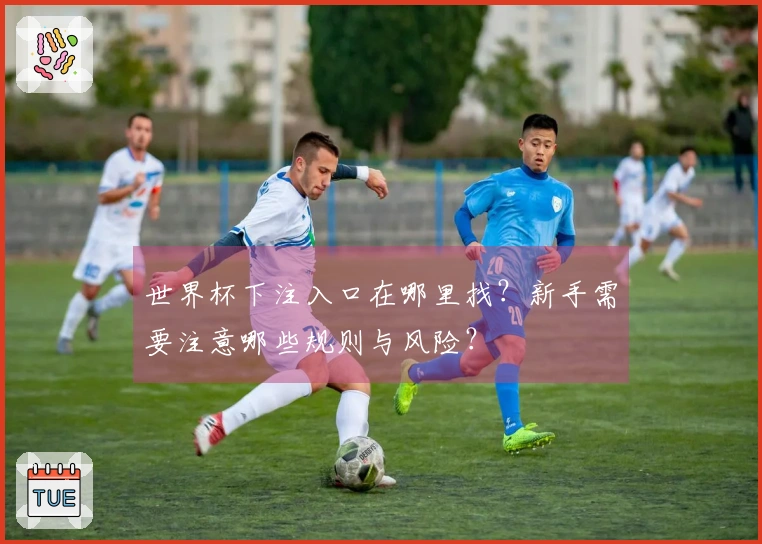 世界杯下注入口在哪里找？新手需要注意哪些规则与风险？