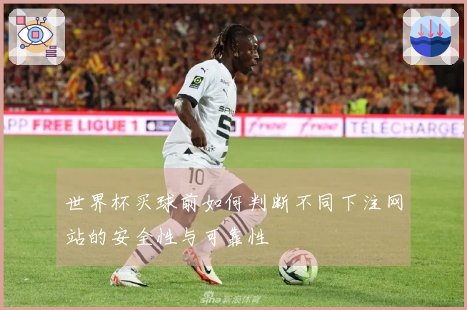 世界杯买球前如何判断不同下注网站的安全性与可靠性
