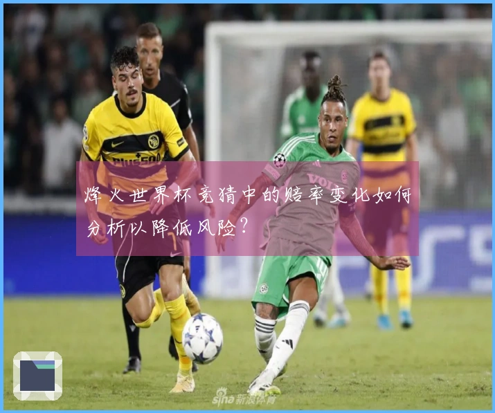 烽火世界杯竞猜中的赔率变化如何分析以降低风险?