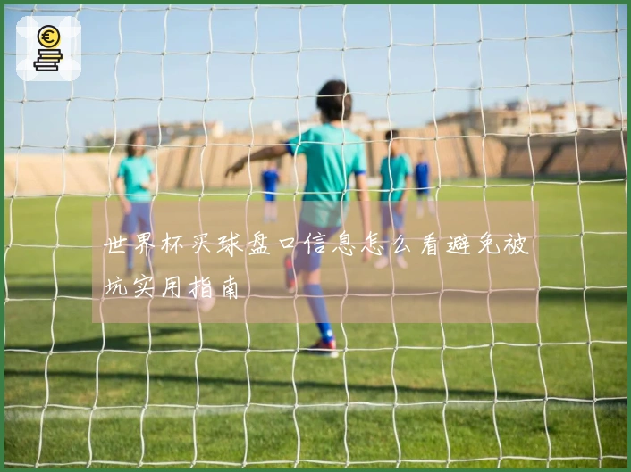 世界杯买球盘口信息怎么看避免被坑实用指南