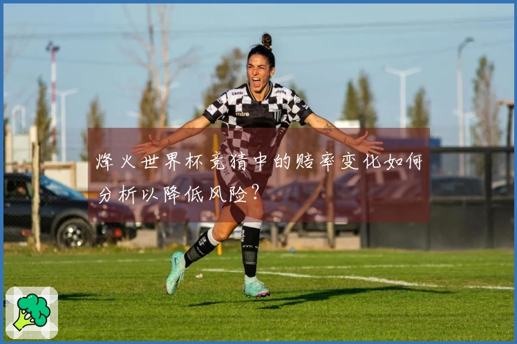 烽火世界杯竞猜中的赔率变化如何分析以降低风险？